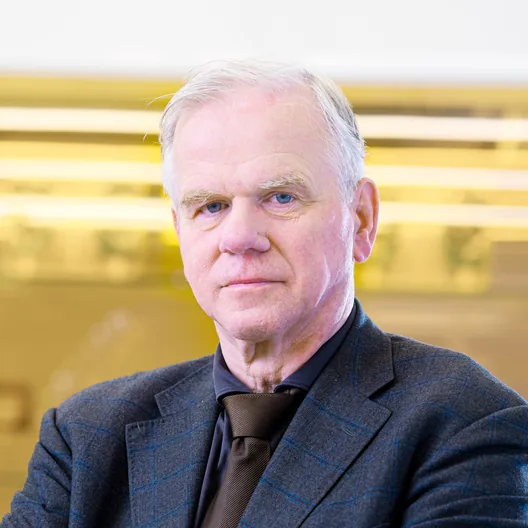 Martin van den Brink